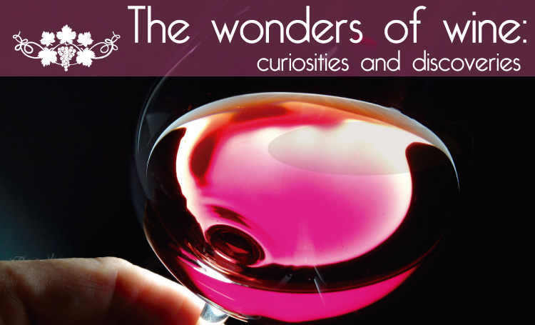 The wonders of wine: curiosities and discoveries – La Pequeña Colombia ...