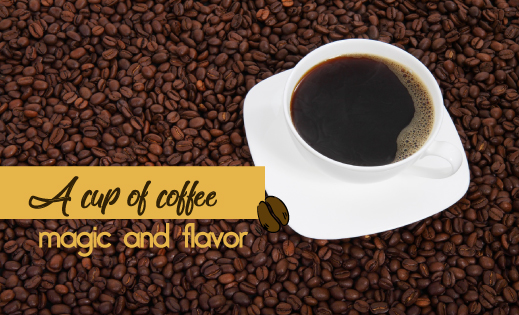 A cup of coffee, magic and flavor – La Pequeña Colombia Tampa English