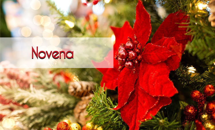 The Pequeña Colombia Tampa´s Family invites you this Tuesday December 18 to share the traditional novena, every year we celebrate with the community as part of our social responsibility.
